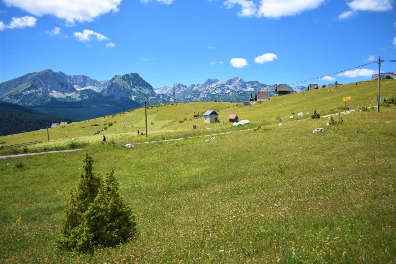 Durmitor View Villa Zabljak  Exterior photo